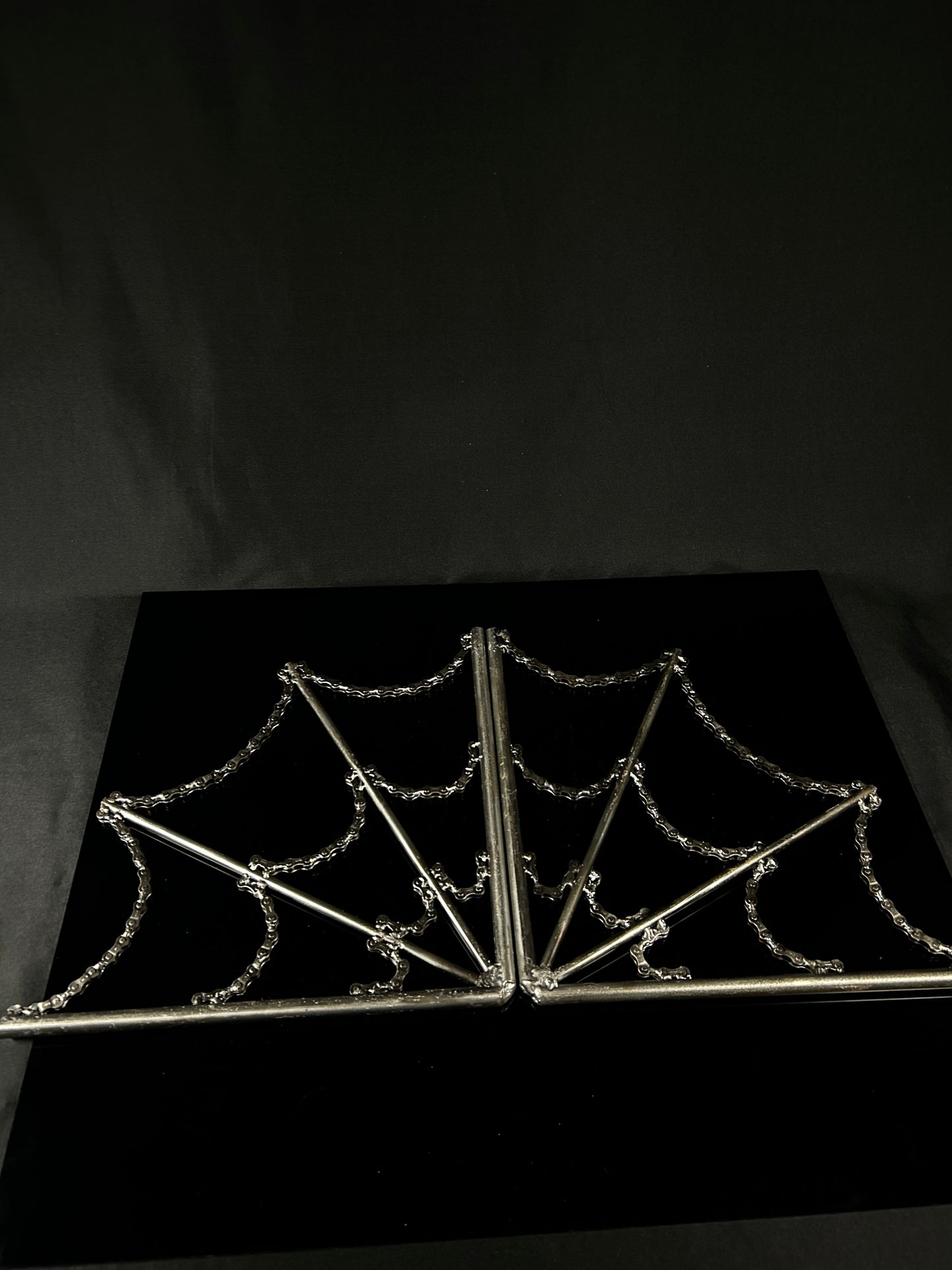 Spider Web
