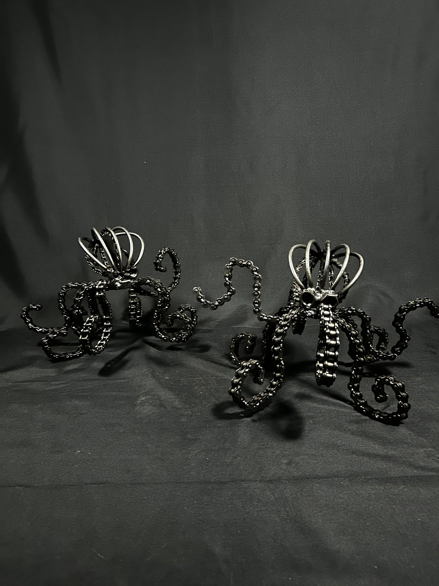 Octopus