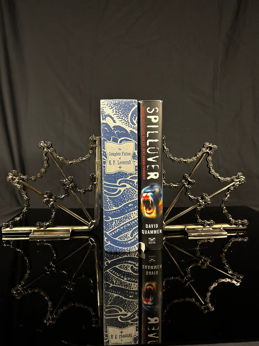 spider web bookends