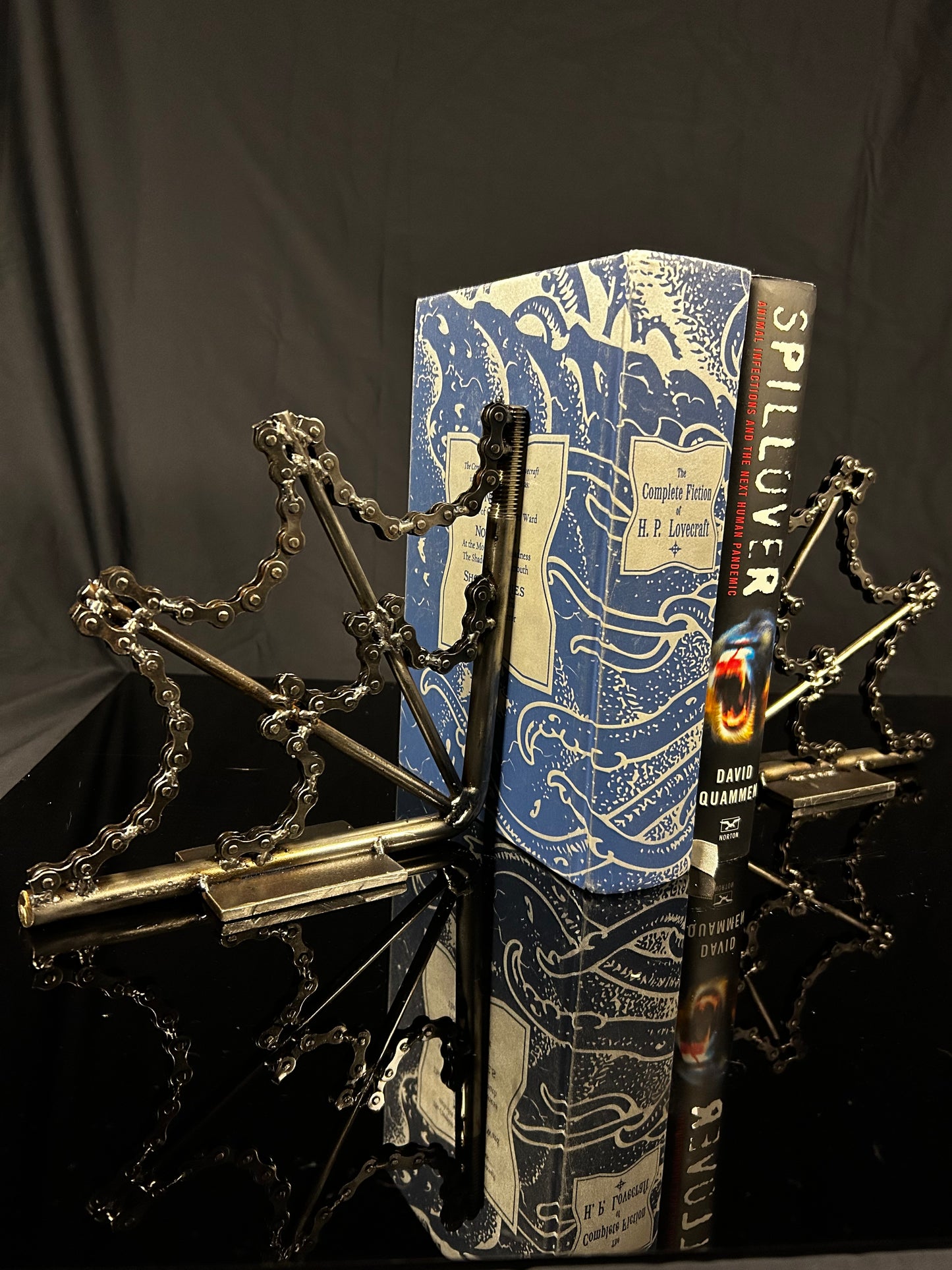 spider web bookends