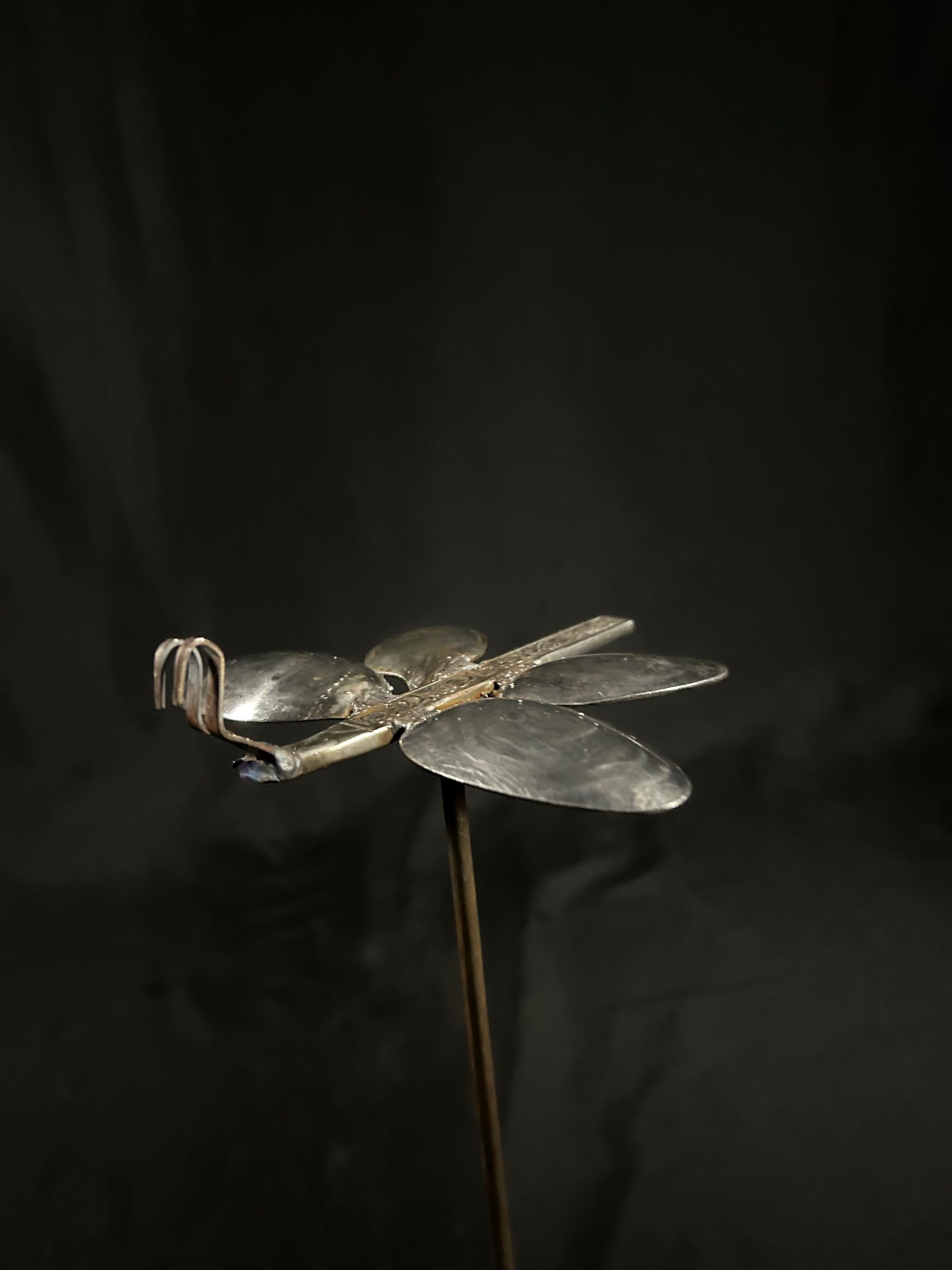 Spoon butterfly