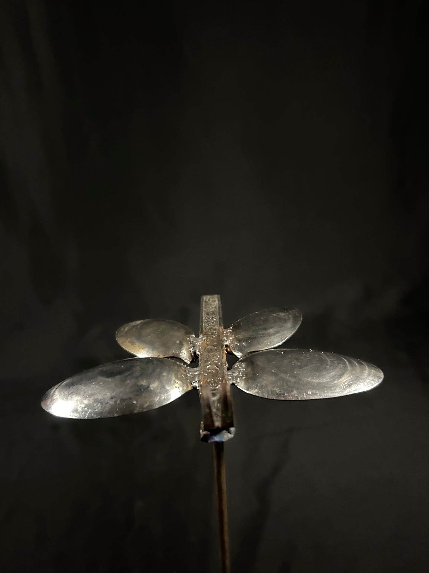 Spoon butterfly